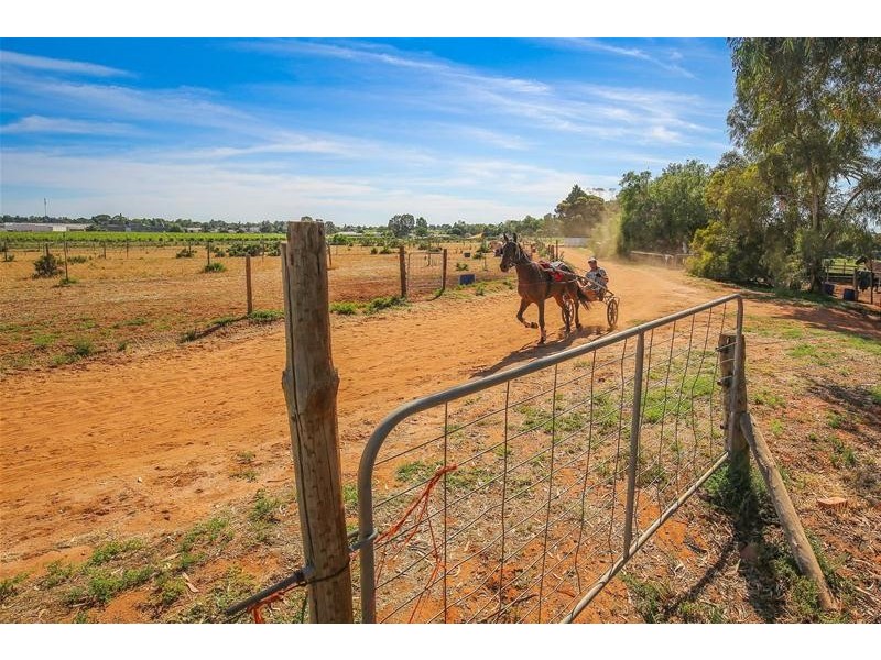 981 Irymple  Avenue, Irymple VIC 3498