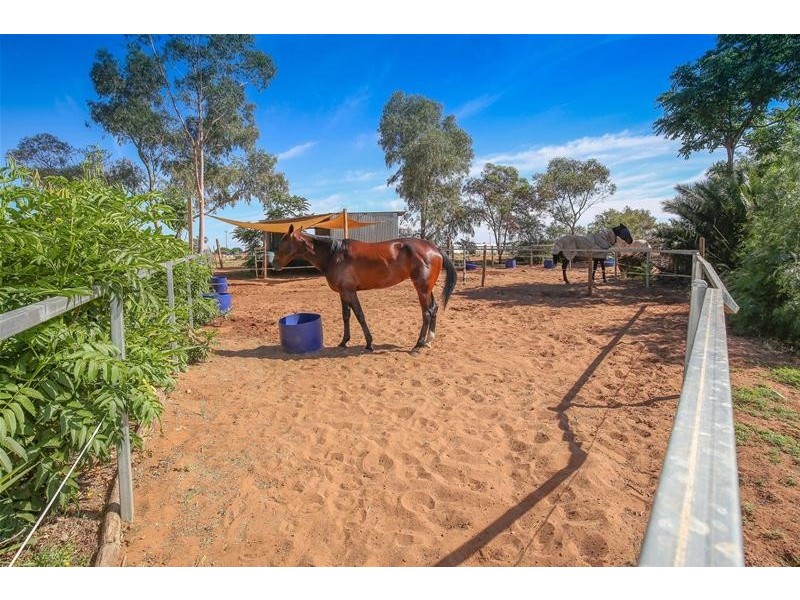 981 Irymple  Avenue, Irymple VIC 3498