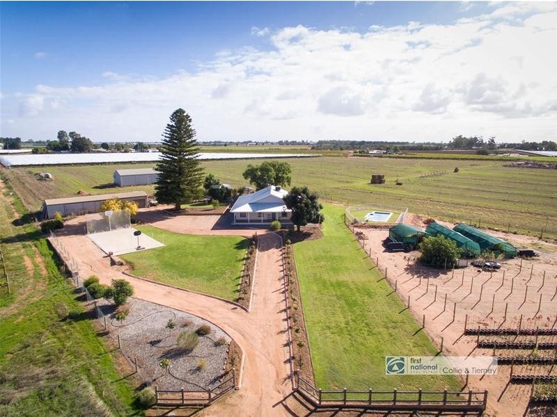 43 Barnett Road, Red Cliffs VIC 3496