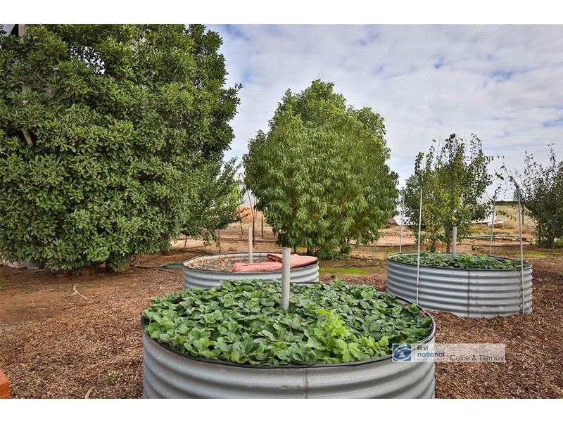 43 Barnett Road, Red Cliffs VIC 3496