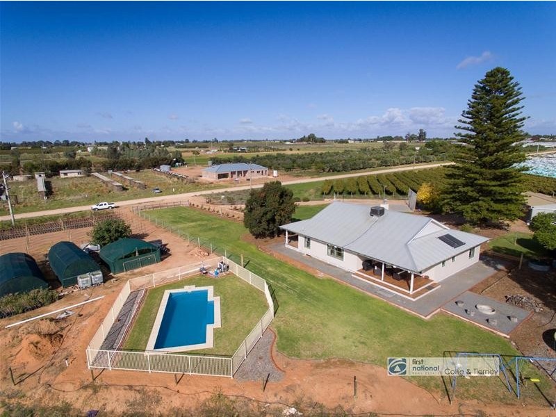 43 Barnett Road, Red Cliffs VIC 3496