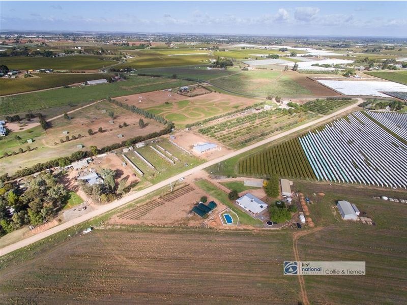 43 Barnett Road, Red Cliffs VIC 3496