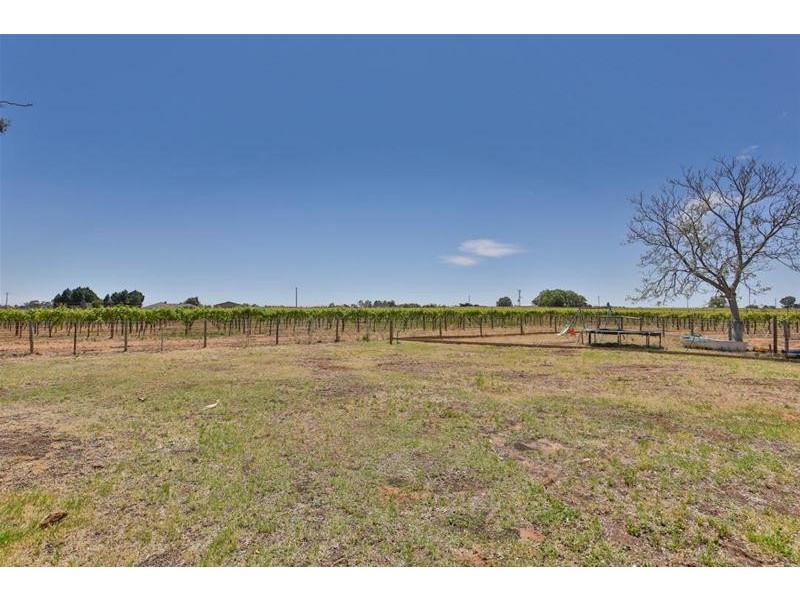 8856 Calder Highway, Red Cliffs VIC 3496