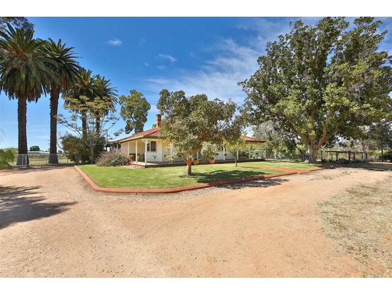 8856 Calder Highway, Red Cliffs VIC 3496
