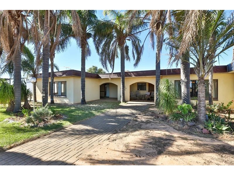 50 Pumps Road, Red Cliffs VIC 3496