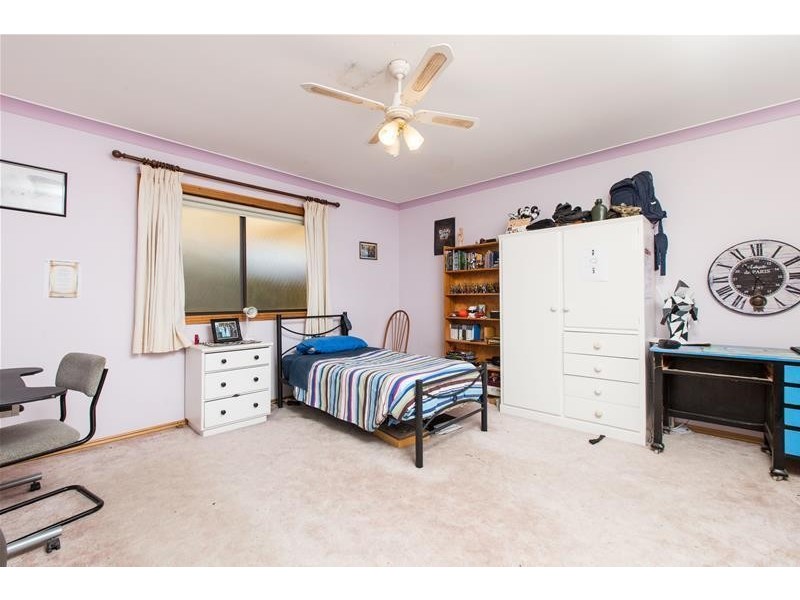 50 Pumps Road, Red Cliffs VIC 3496