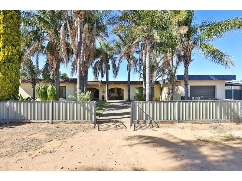 50 Pumps Road, Red Cliffs VIC 3496