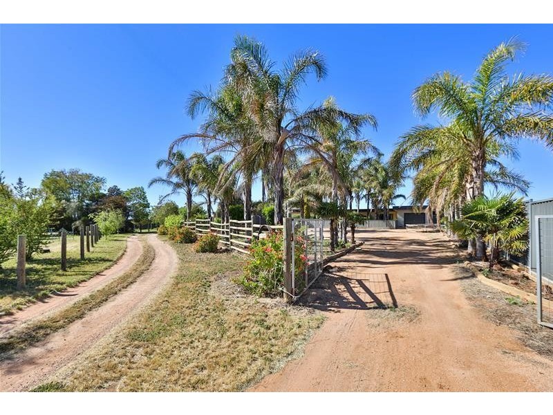 50 Pumps Road, Red Cliffs VIC 3496