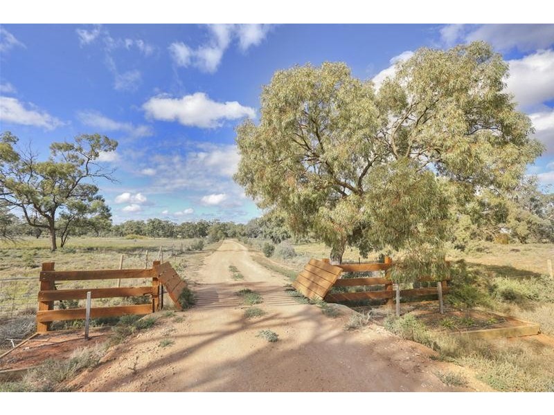 1744 Low Darling Road, Wentworth NSW 2648