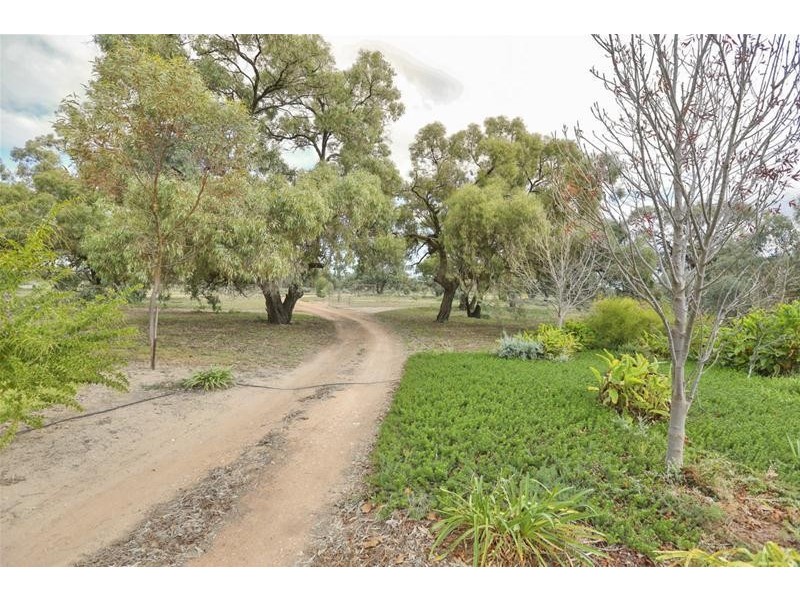1744 Low Darling Road, Wentworth NSW 2648