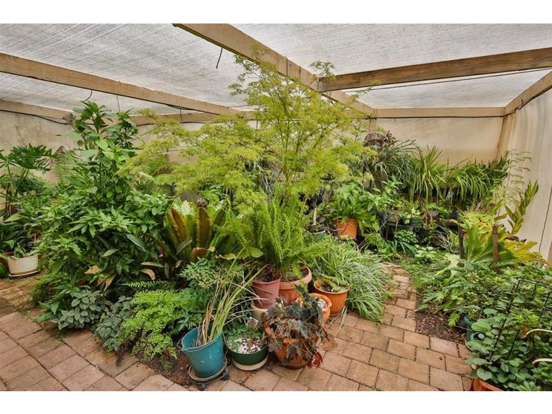 3 Carina Close, Irymple VIC 3498