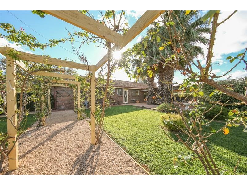 62 River Avenue, Birdwoodton VIC 3505