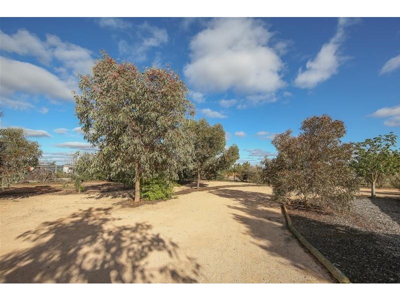 62 River Avenue, Birdwoodton VIC 3505