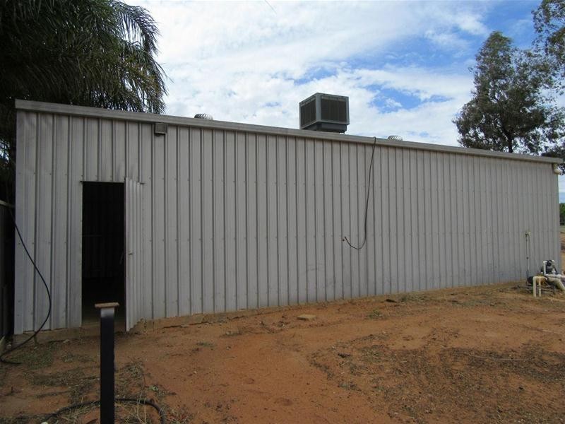 251 Dow Avenue, Birdwoodton VIC 3505