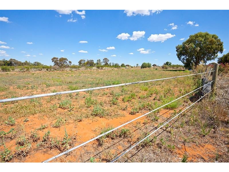 59 McCarthys Road, Merbein South VIC 3505