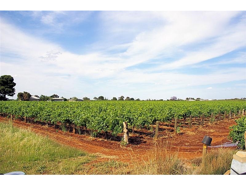 Blk 98 Oak Avenue, Birdwoodton VIC 3505