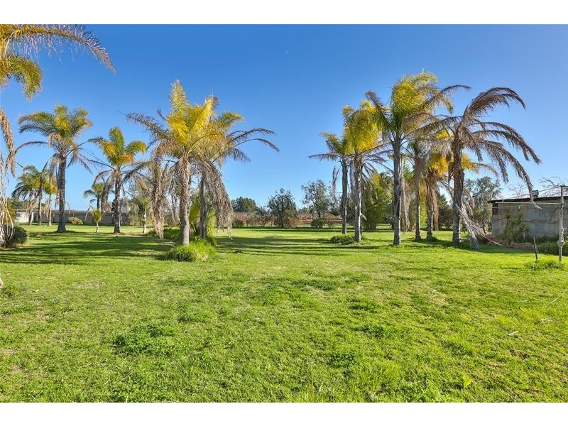 58 Hollins Road, Red Cliffs VIC 3496