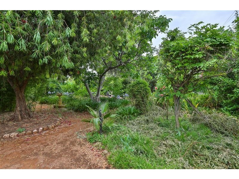 56 Adelaide Street, Gol Gol NSW 2738