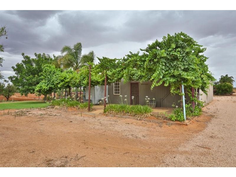 229 Main Avenue, Merbein South VIC 3505