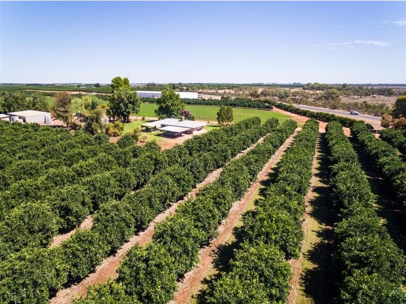 2204 Kulkyne Way, Iraak VIC 3494