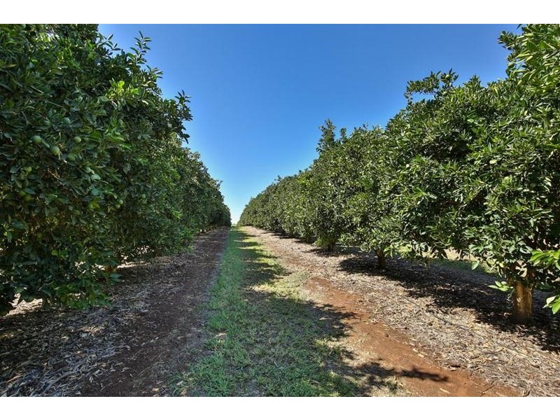 2204 Kulkyne Way, Iraak VIC 3494