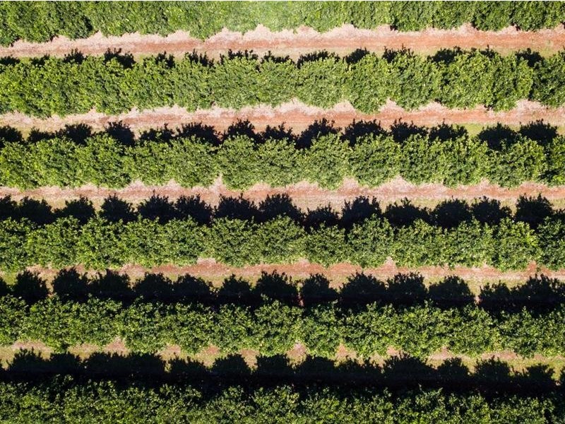 2204 Kulkyne Way, Iraak VIC 3494