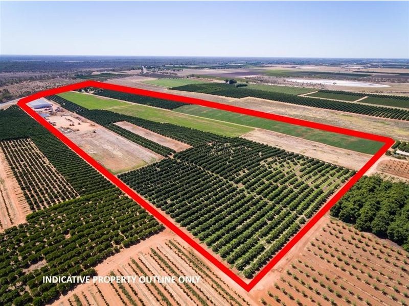 2204 Kulkyne Way, Iraak VIC 3494