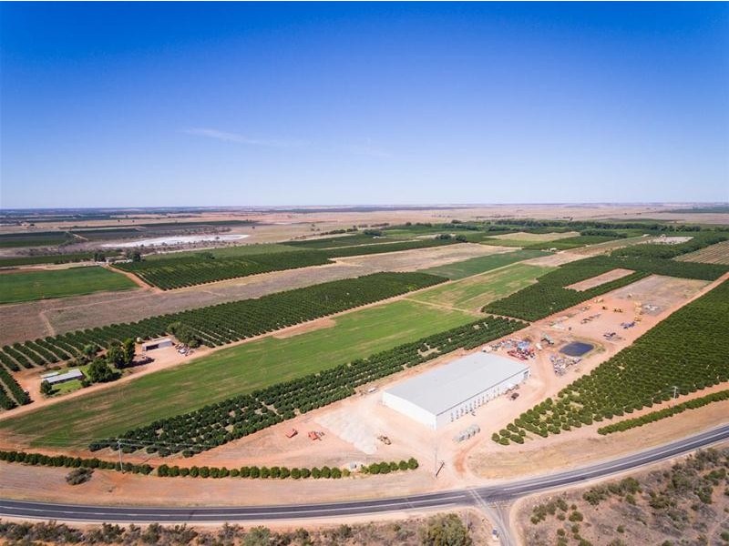 2204 Kulkyne Way, Iraak VIC 3494