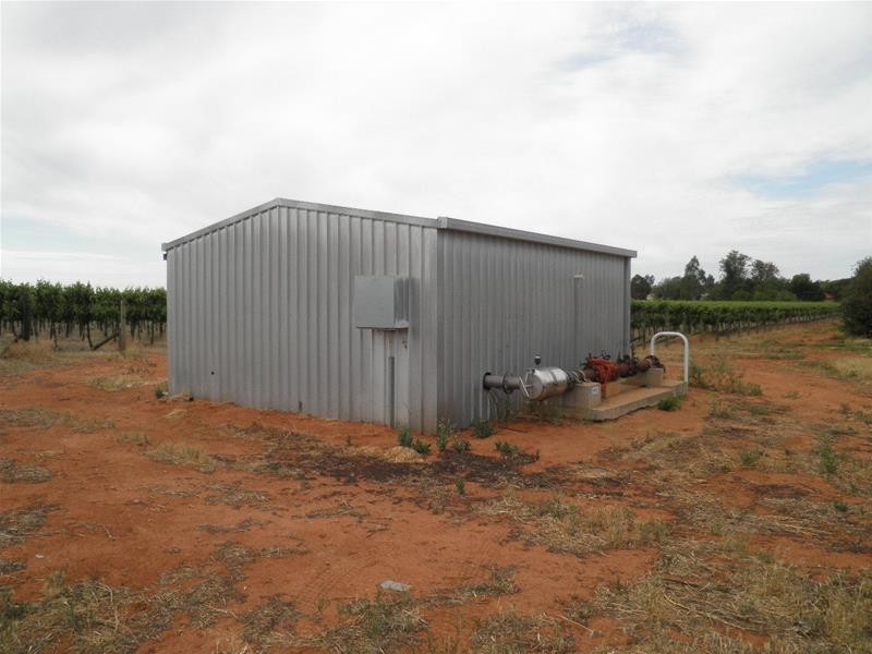 66 Oleander Drive, Dareton NSW 2717