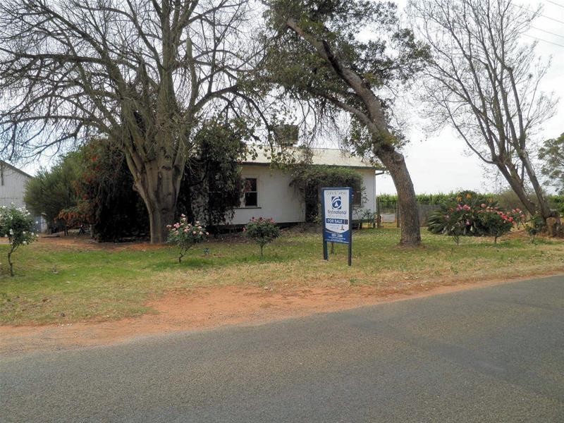 66 Oleander Drive, Dareton NSW 2717