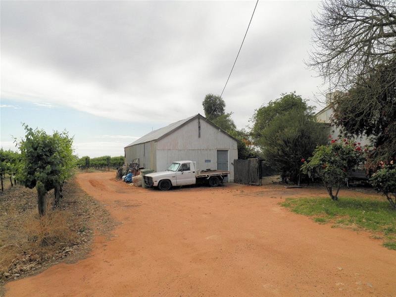 66 Oleander Drive, Dareton NSW 2717