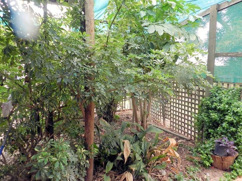 35 Euston Avenue, Irymple VIC 3498