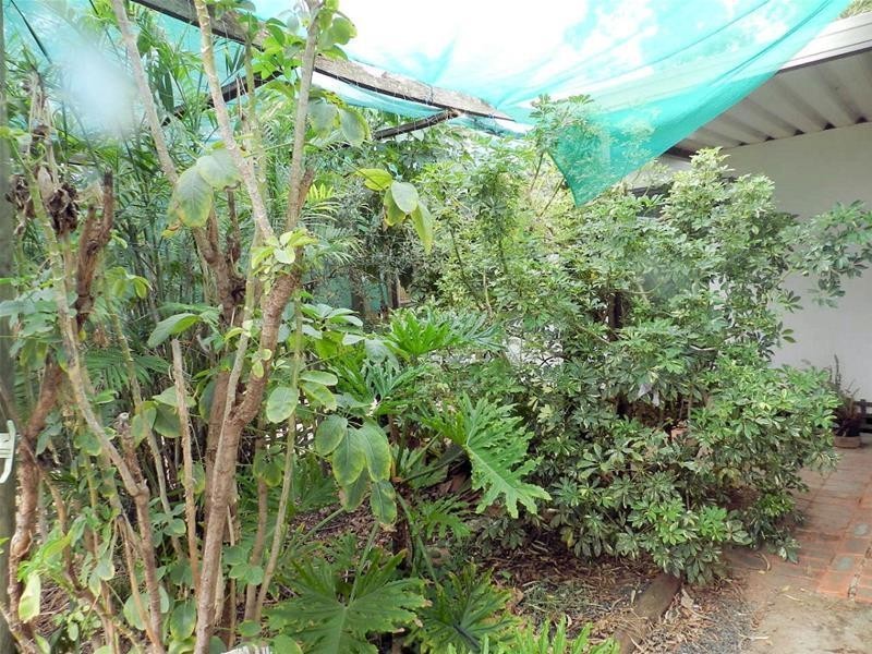 35 Euston Avenue, Irymple VIC 3498