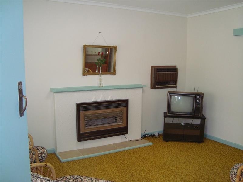 17 Avocado Street, Mildura VIC 3500