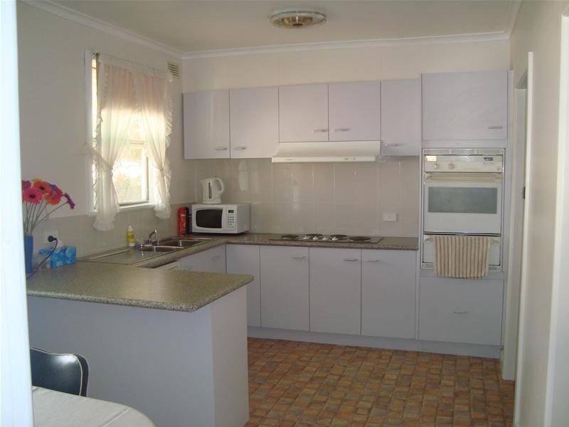 17 Avocado Street, Mildura VIC 3500