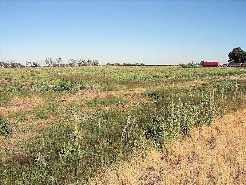 Lot 2/ Ash Avenue, Merbein South VIC 3505