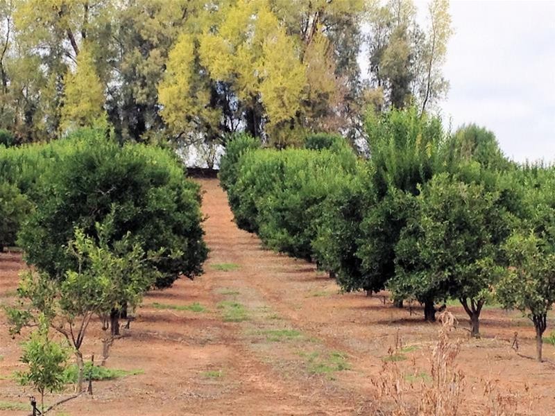 76 Hewett Road, Colignan VIC 3494