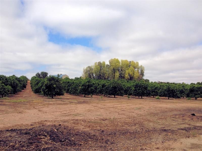 76 Hewett Road, Colignan VIC 3494