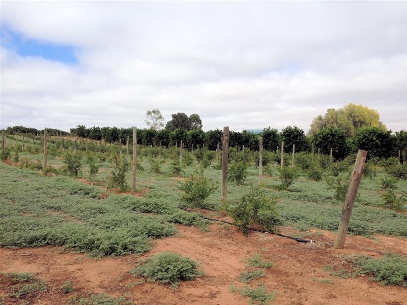 76 Hewett Road, Colignan VIC 3494