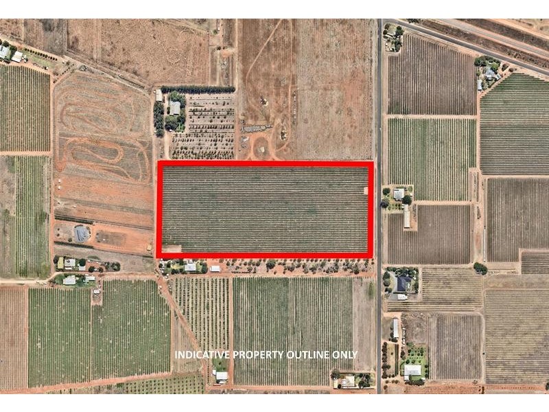 Block 153 Paschendale Avenue, Merbein West VIC 3505