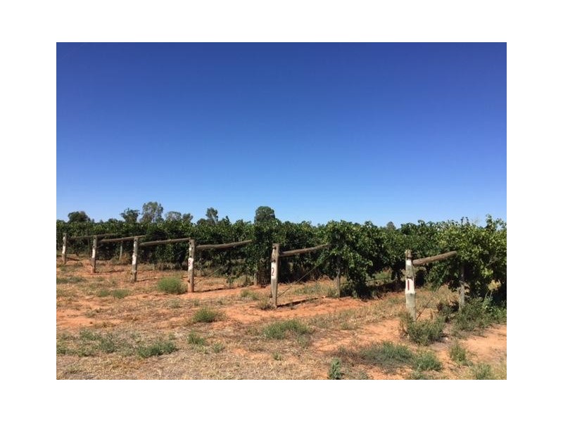 Block 153 Paschendale Avenue, Merbein West VIC 3505