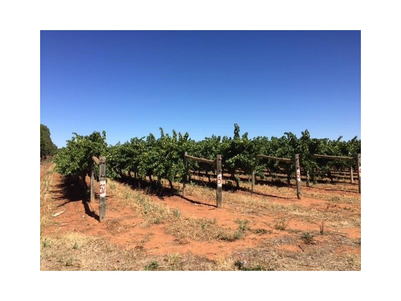 Block 153 Paschendale Avenue, Merbein West VIC 3505