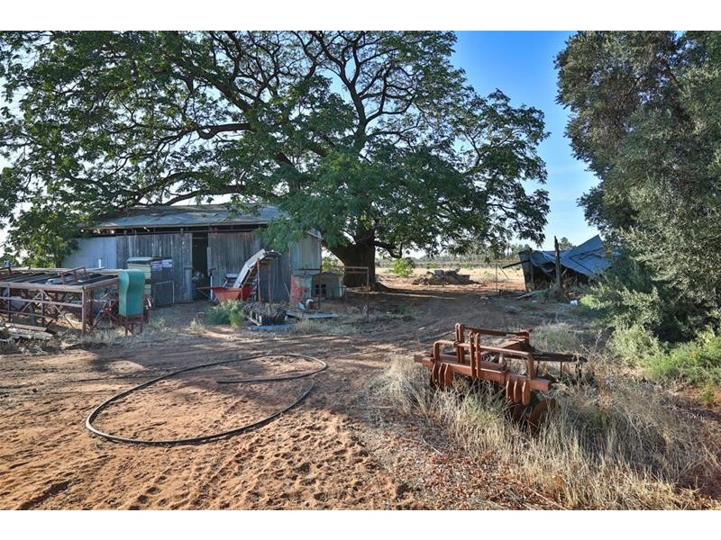 99 Cowanna Avenue, Merbein VIC 3505