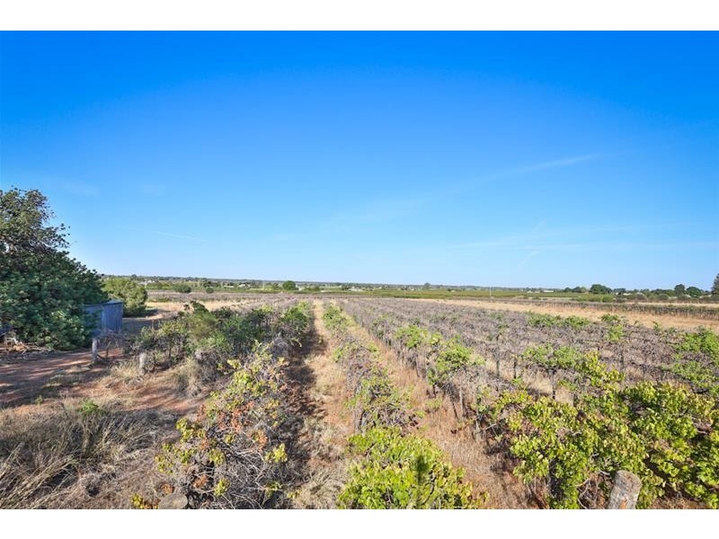 99 Cowanna Avenue, Merbein VIC 3505