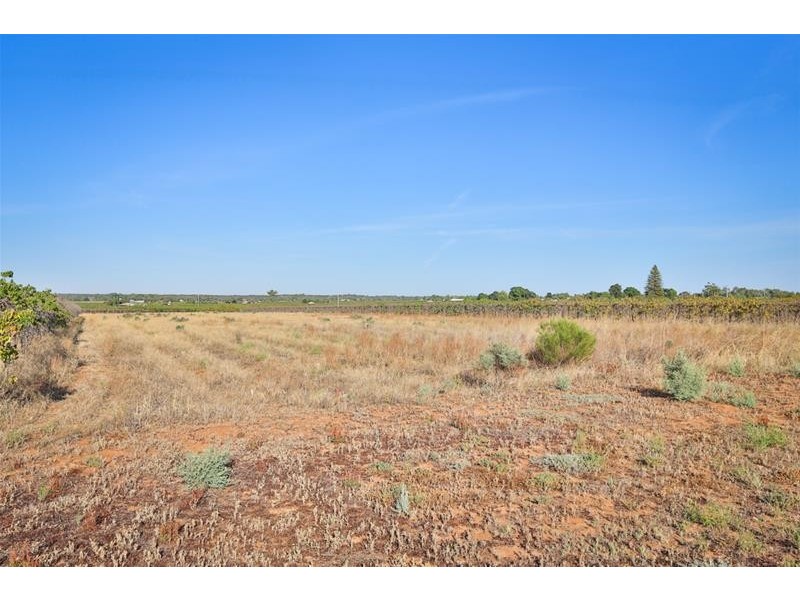 99 Cowanna Avenue, Merbein VIC 3505