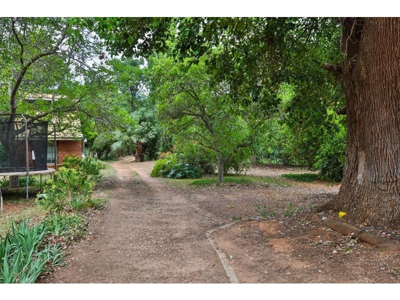 31 Lake Street, Mildura VIC 3500