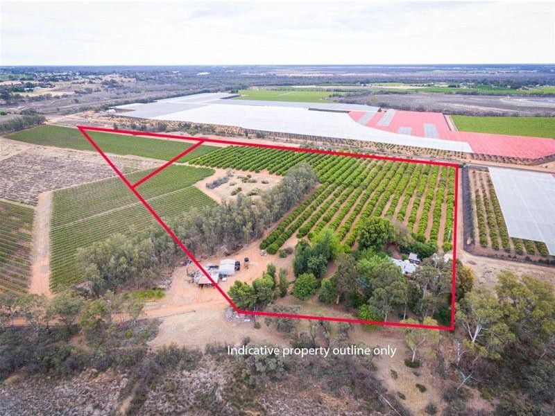 31 Lake Street, Mildura VIC 3500