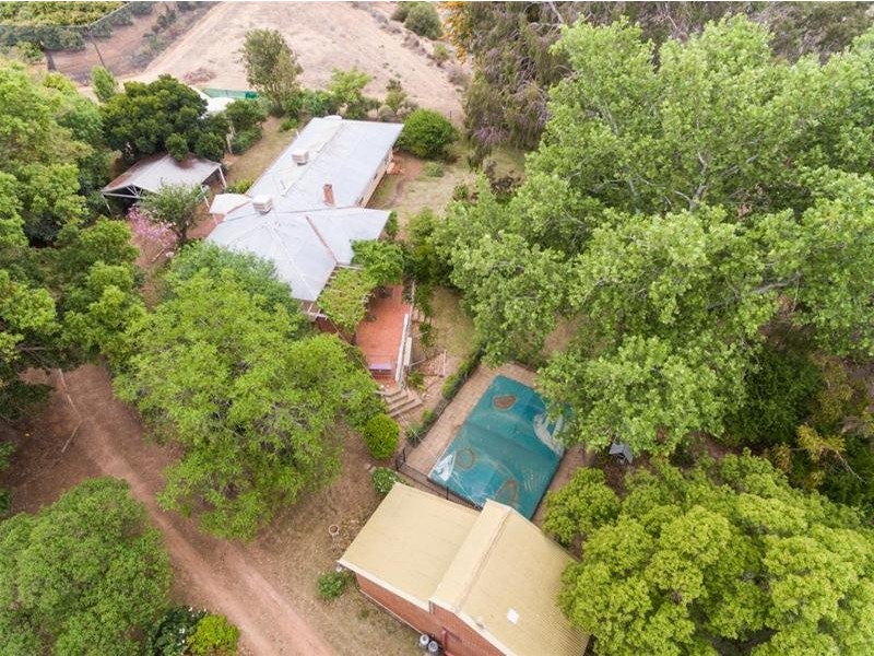31 Lake Street, Mildura VIC 3500