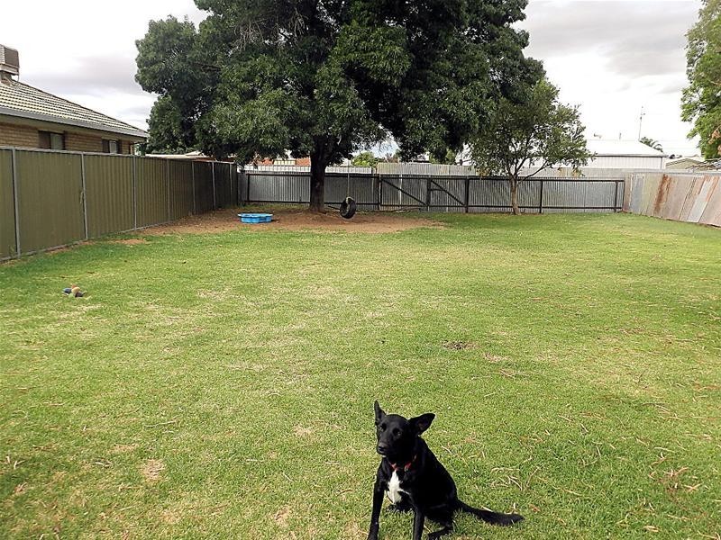 74 Avocado Street, Mildura VIC 3500