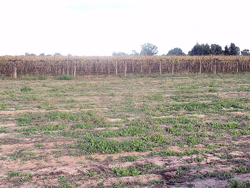 512 Karadoc Avenue, Nichols Point VIC 3501